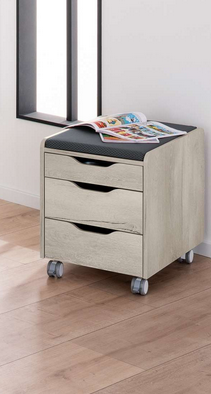 Paidi Rollcontainer 3S Schoolworld